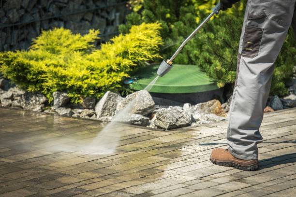 Best Driveway Pressure Washing  in Homosassa Springs, FL