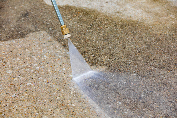 Best Spring Cleaning  in Homosassa Springs, FL