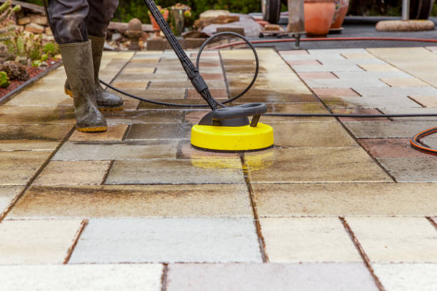 Best Dumpster Area Cleaning  in Homosassa Springs, FL