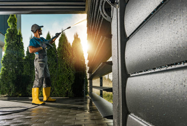 Best Graffiti Removal  in Homosassa Springs, FL